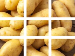 Landmaschinen für den Kartoffelanbau | Oliver Agro