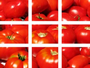 Landmaschinen für den Tomatenanbau | Oliver Agro